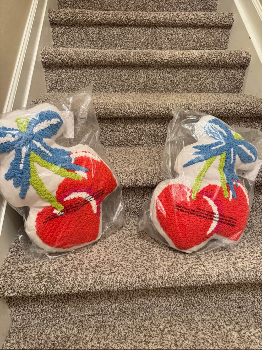 Cherry Embroidered Throw Pillows